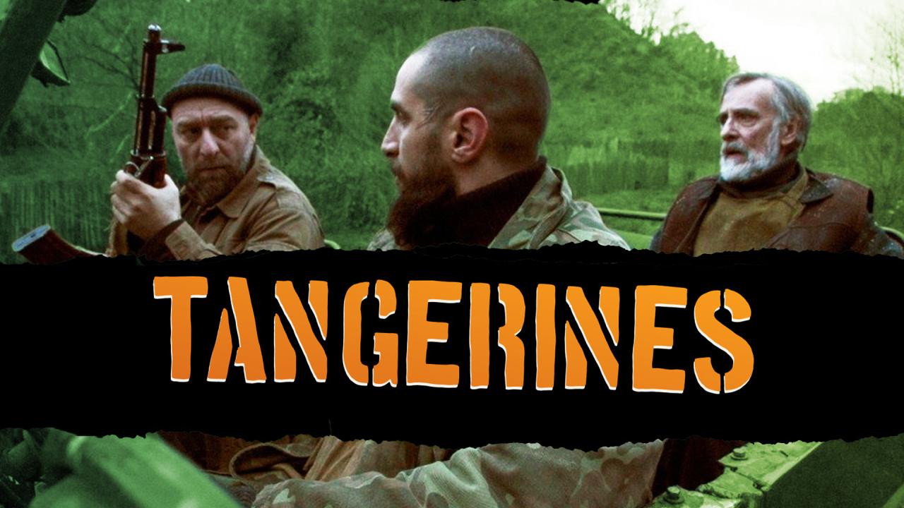 فيلم Tangerines 2013 مترجم