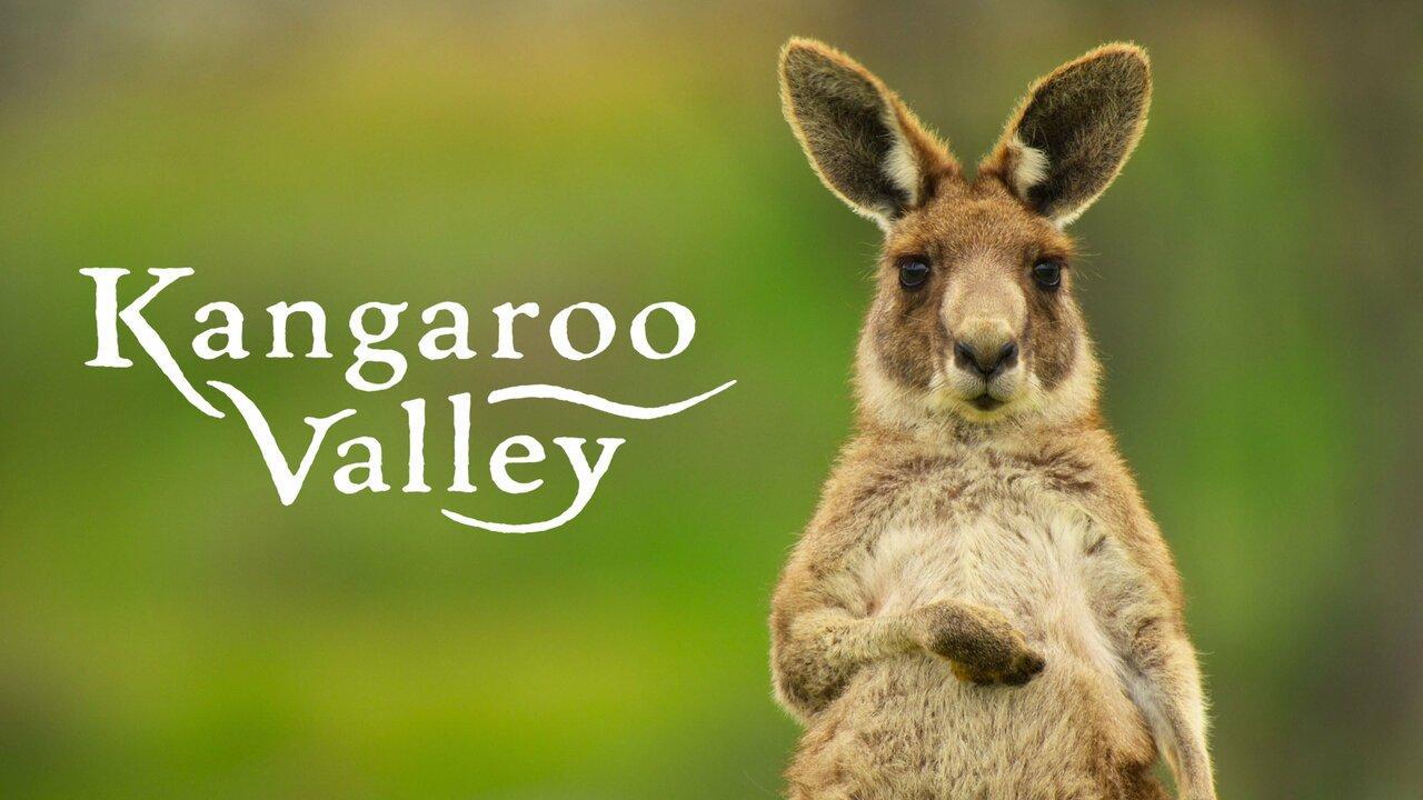 فيلم Kangaroo Valley 2022 مترجم