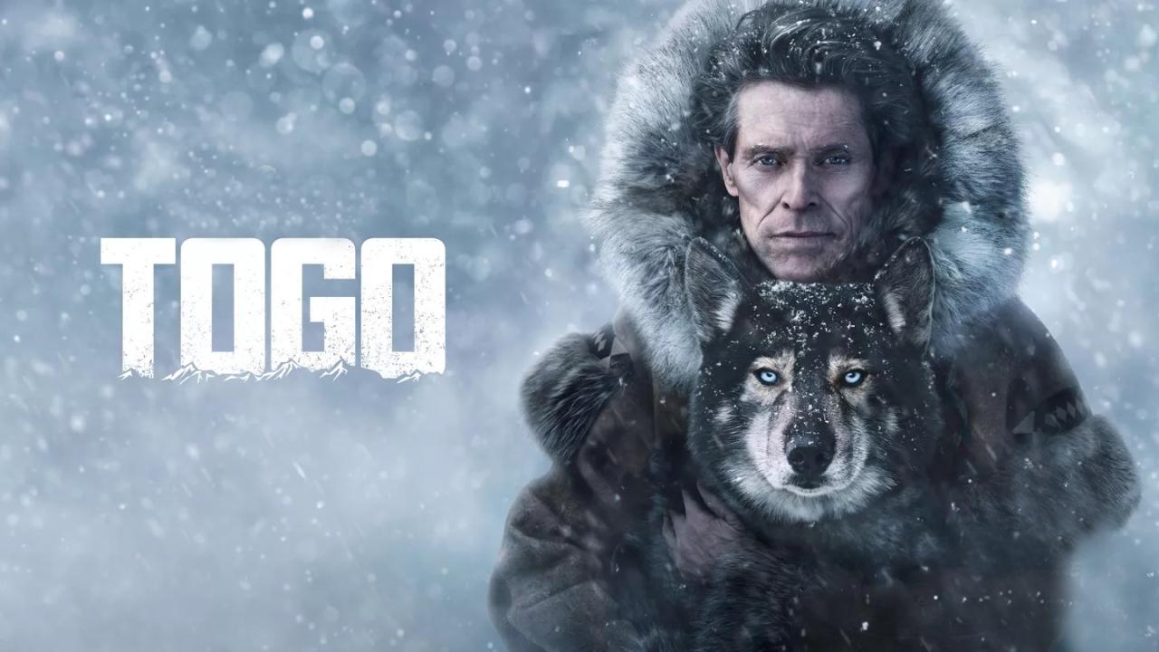 فيلم Togo 2019 مترجم