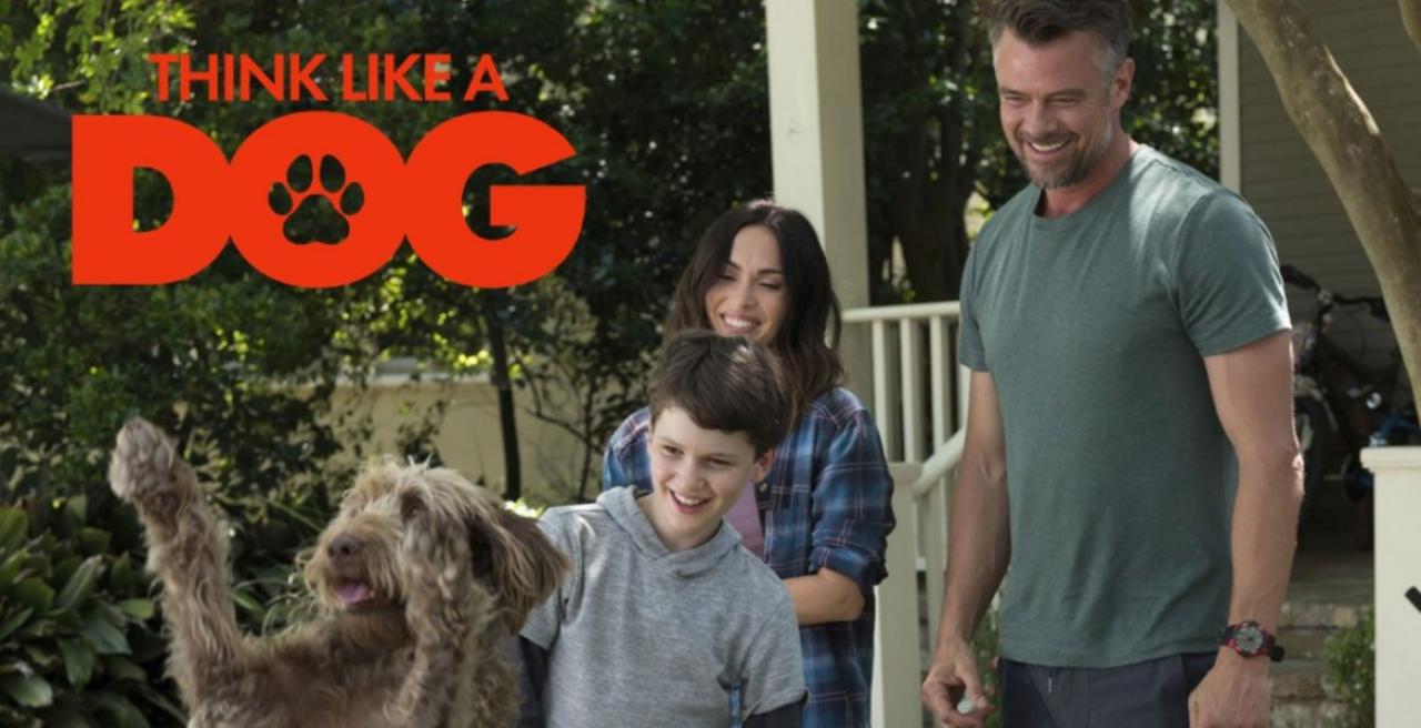 فيلم Think Like a Dog 2020 مترجم اون لاين