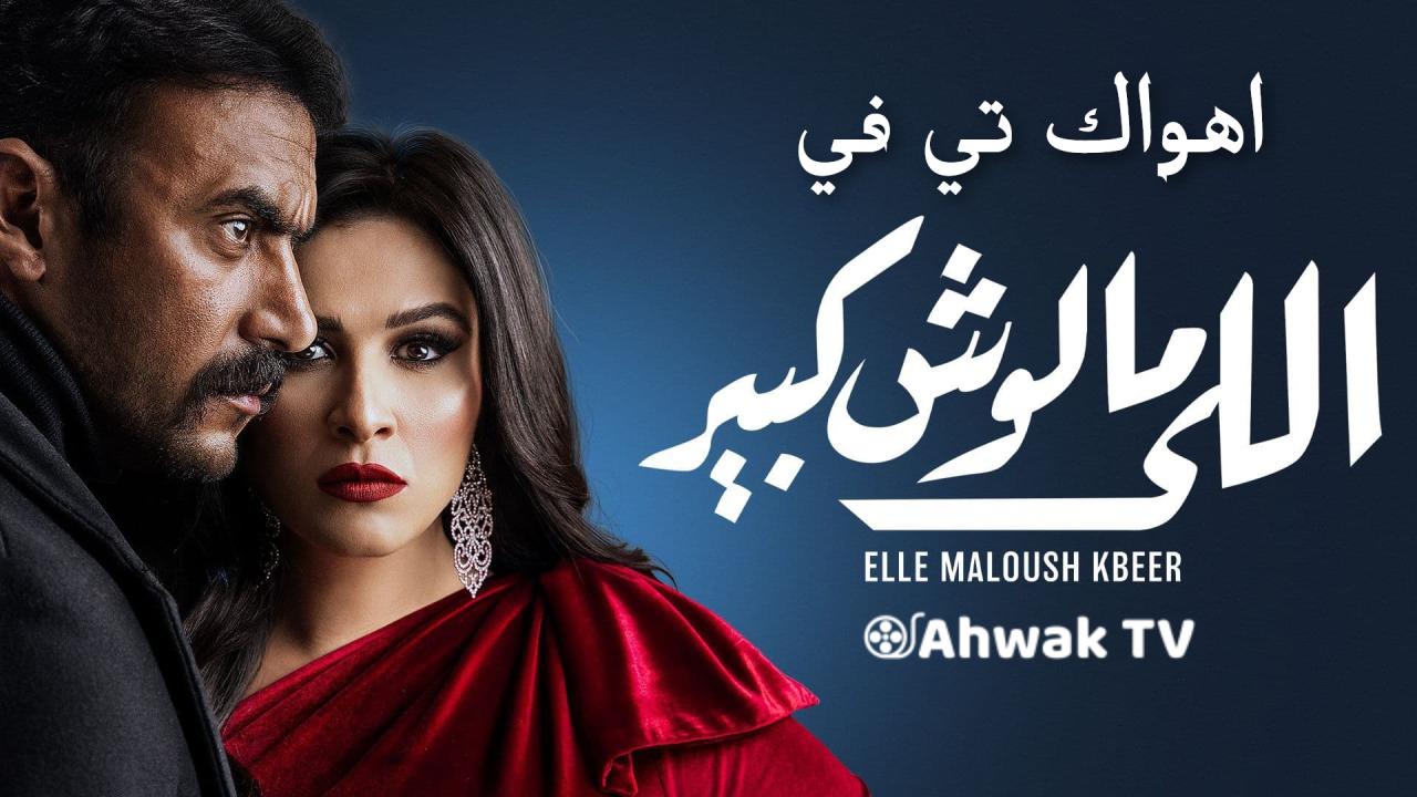 مسلسل اللي ملوش كبير الحلقة 30 الثلاثون والاخيرة