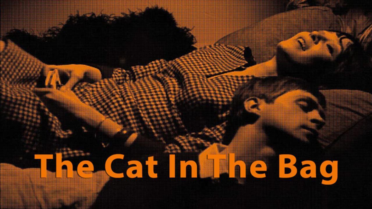 فيلم The Cat in the Bag 1964 مترجم