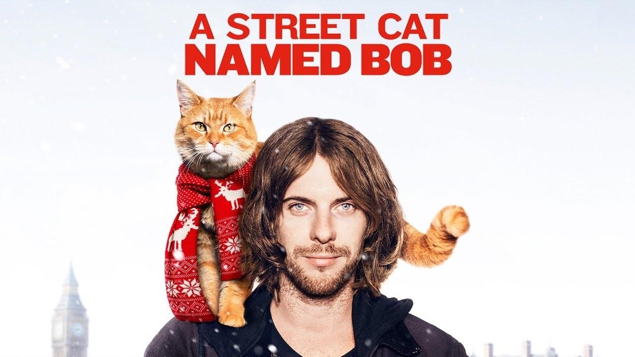 فيلم A Street Cat Named Bob 2016 مترجم اون لاين