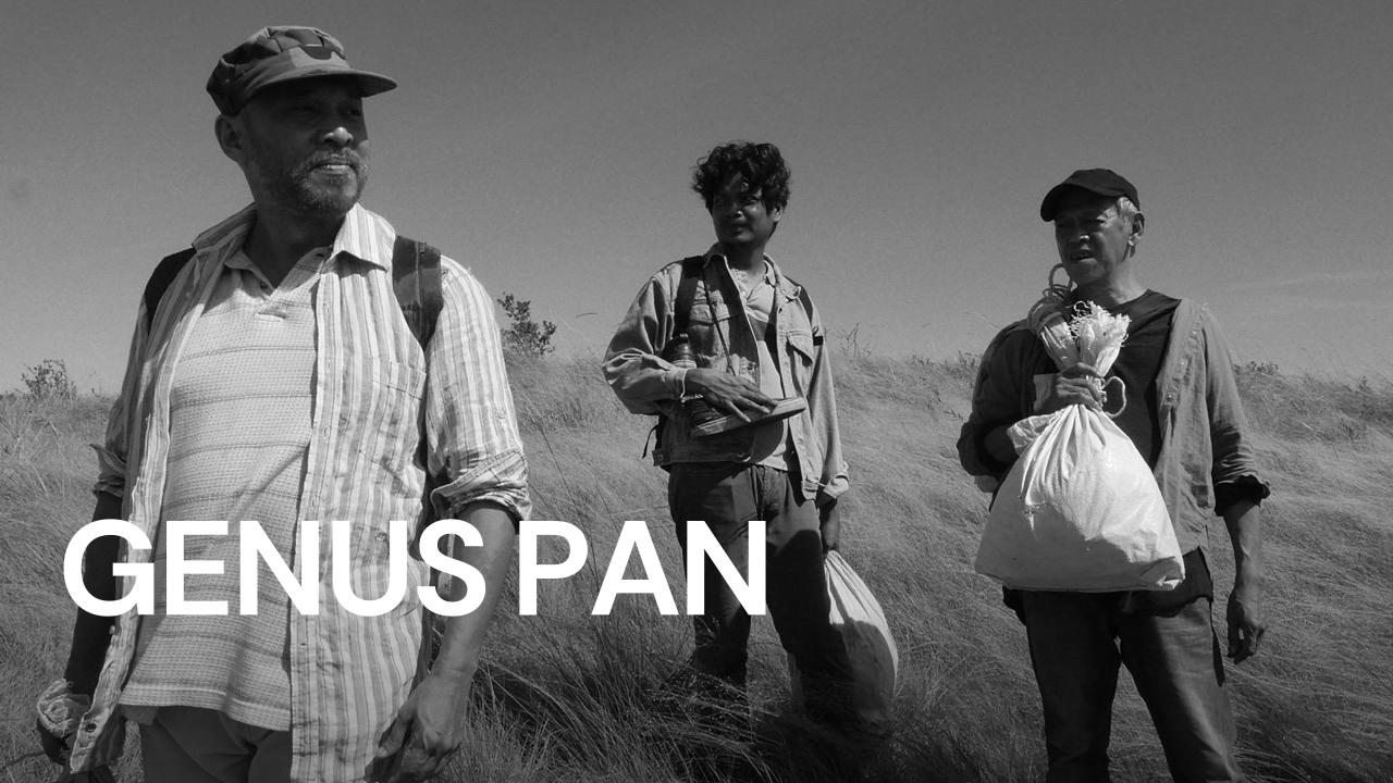 فيلم Genus Pan 2020 مترجم