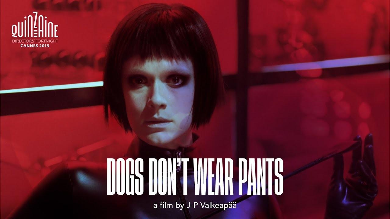 فيلم Dogs Dont Wear Pants 2019 مترجم اون لاين