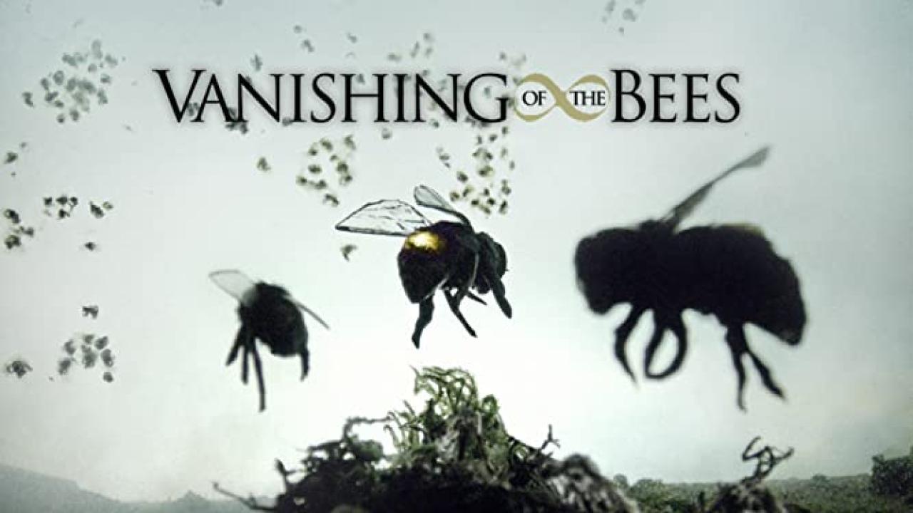 فيلم Vanishing of the Bees 2009 مترجم