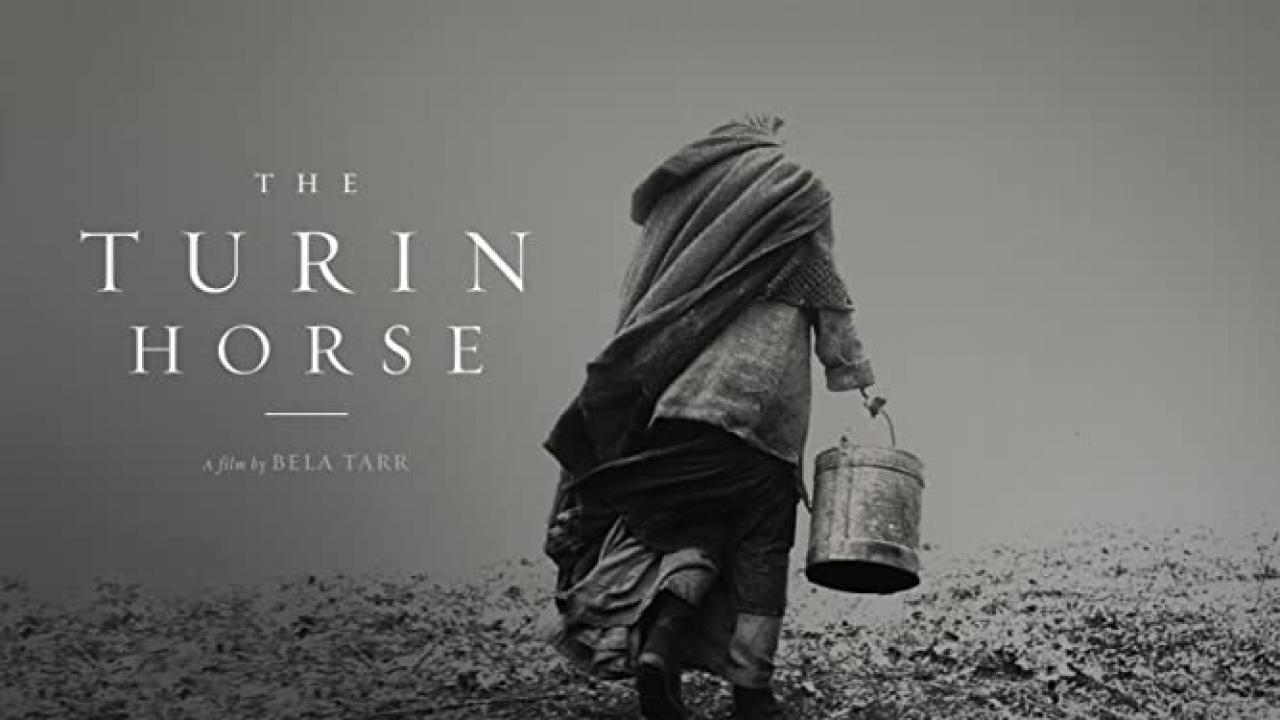 فيلم The Turin Horse 2011 مترجم اون لاين