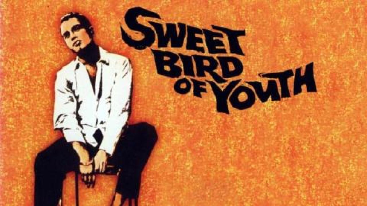 فيلم Sweet Bird of Youth 1962 مترجم