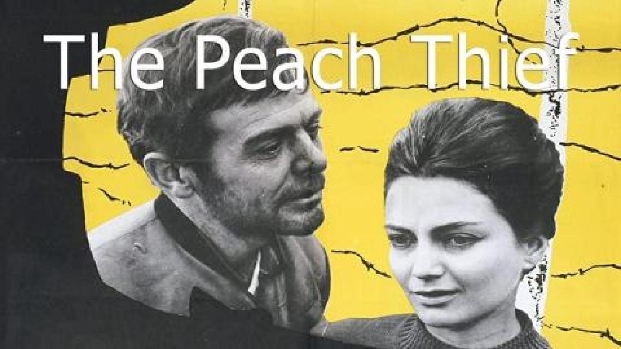 فيلم The Peach Thief 1964 مترجم