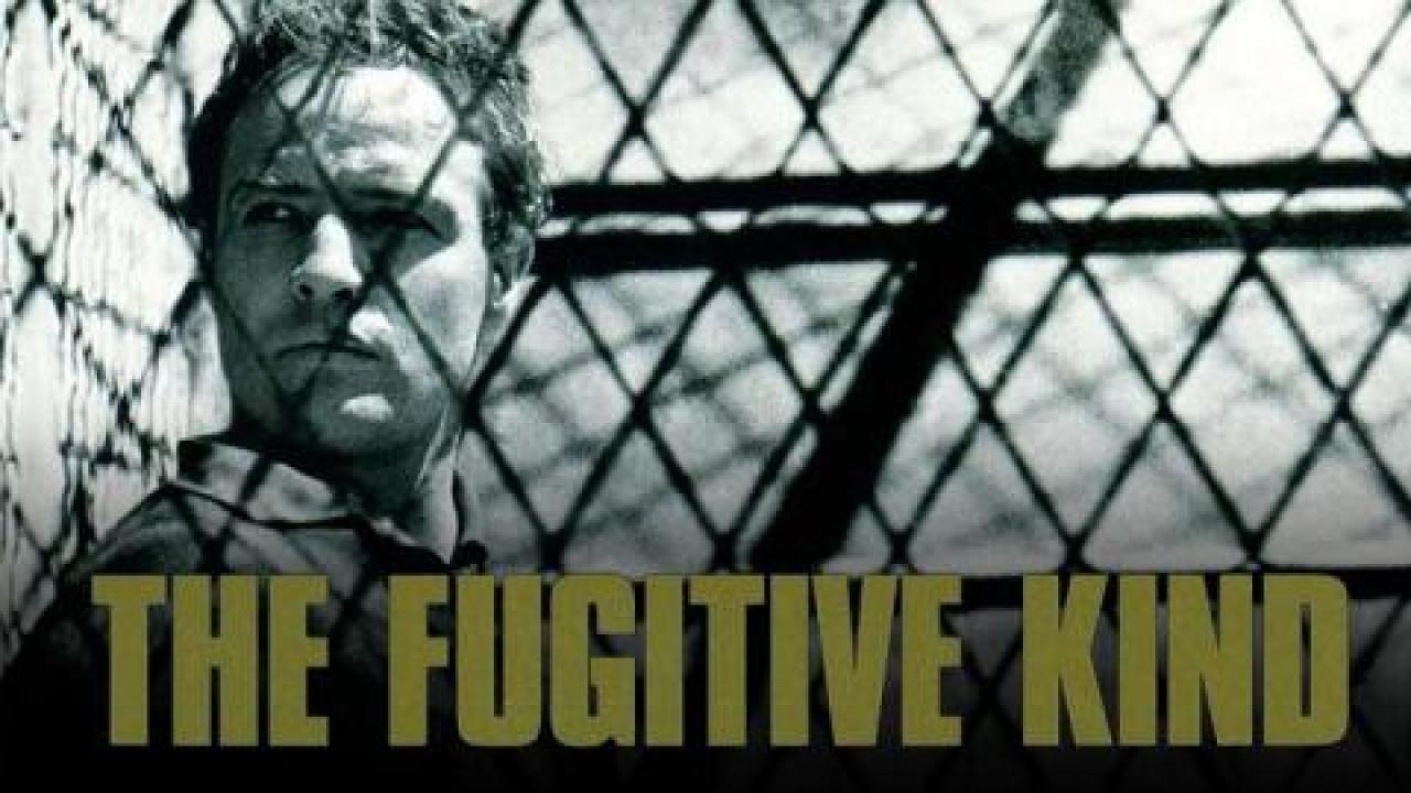 فيلم The Fugitive Kind 1960 مترجم