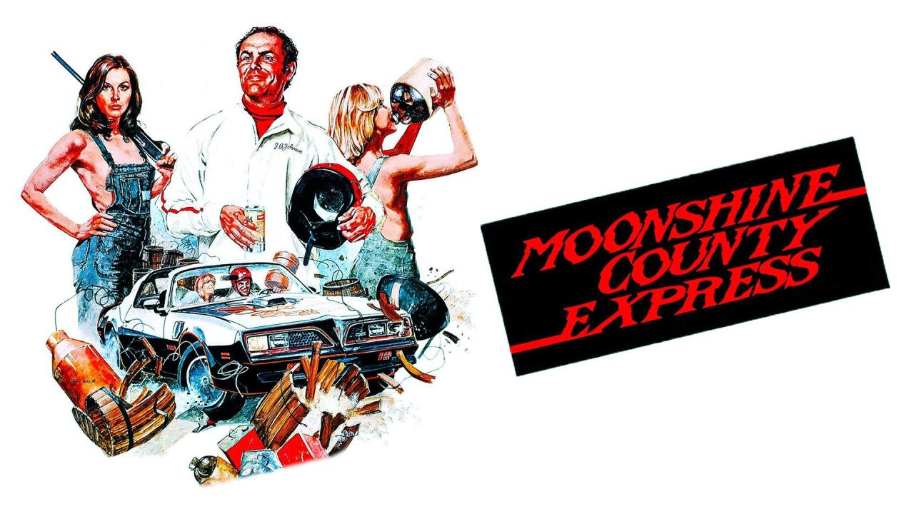 فيلم Moonshine County Express 1977 مترجم