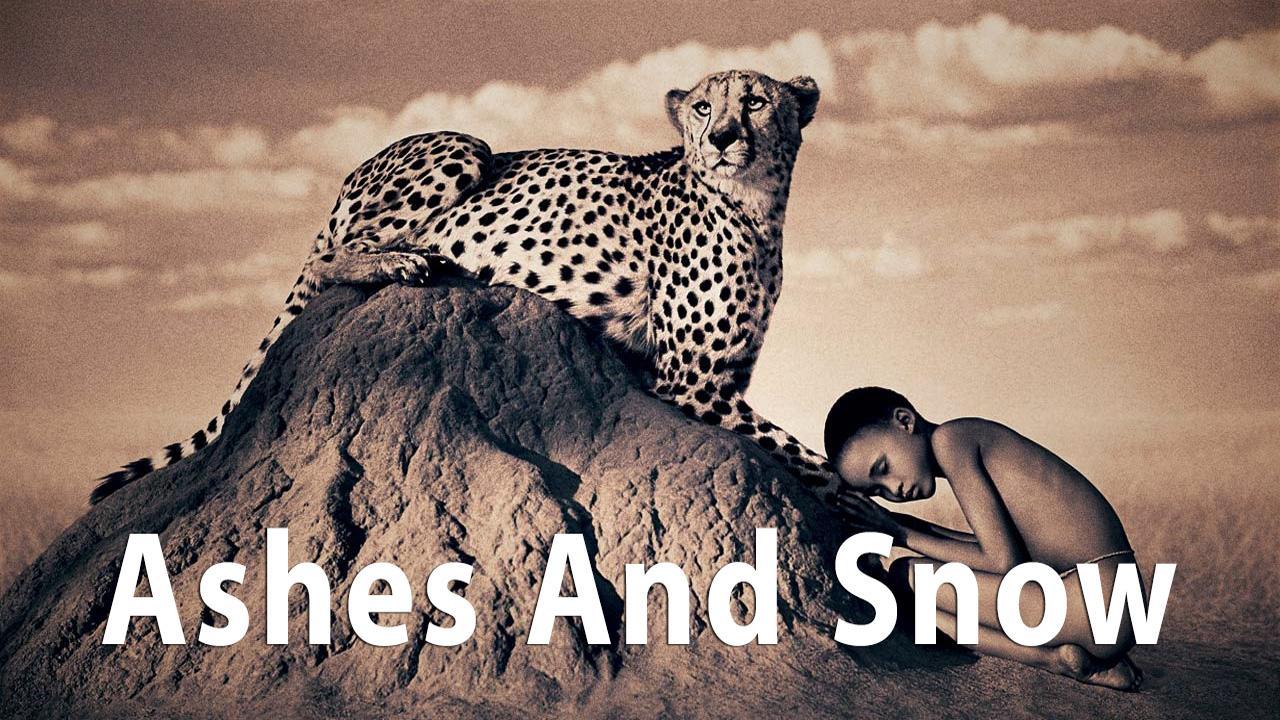 فيلم Ashes and Snow 2005 مترجم