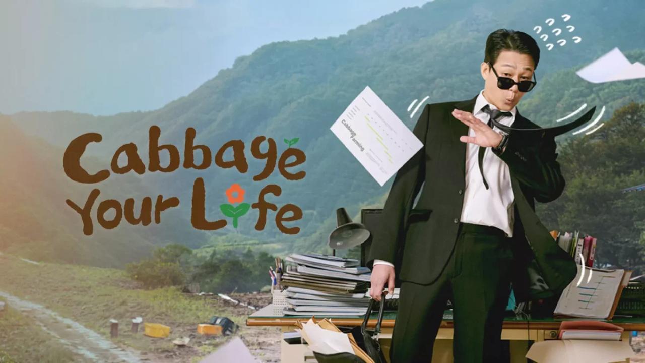 شاهد مسلسل Cabbage Your Life مترجم